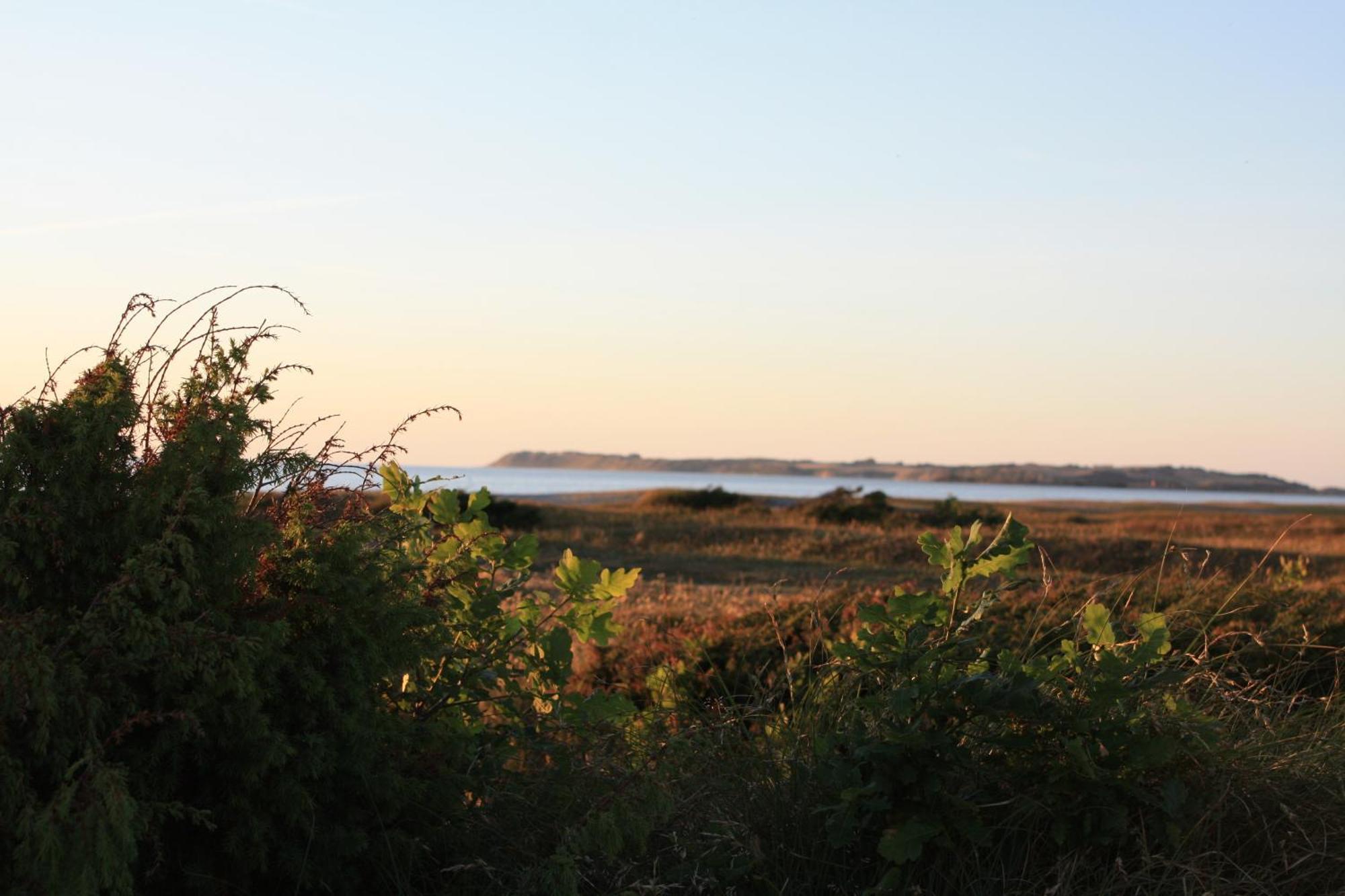Vesterlyng Camping And Cottages Follenslev Екстер'єр фото